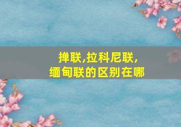 掸联,拉科尼联,缅甸联的区别在哪