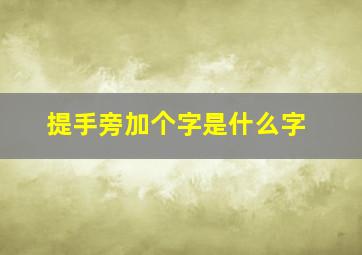 提手旁加个字是什么字