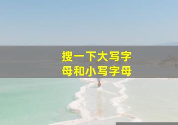 搜一下大写字母和小写字母