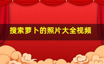 搜索萝卜的照片大全视频