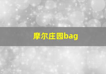 摩尔庄园bag