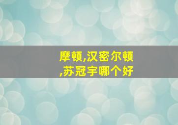 摩顿,汉密尔顿,苏冠宇哪个好