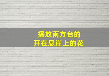 播放南方台的开在悬崖上的花