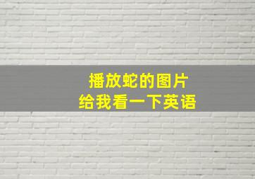 播放蛇的图片给我看一下英语