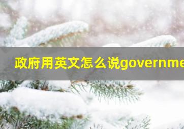 政府用英文怎么说government