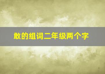 敢的组词二年级两个字