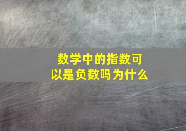 数学中的指数可以是负数吗为什么