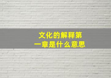 文化的解释第一章是什么意思