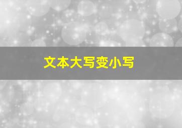 文本大写变小写