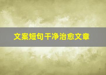 文案短句干净治愈文章