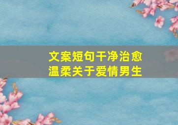 文案短句干净治愈温柔关于爱情男生