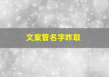 文案管名字咋取