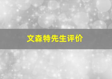 文森特先生评价