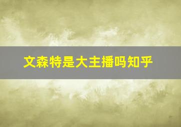 文森特是大主播吗知乎