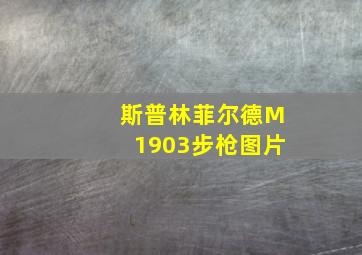 斯普林菲尔德M1903步枪图片