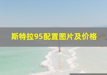 斯特拉95配置图片及价格