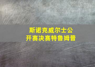 斯诺克威尔士公开赛决赛特鲁姆普