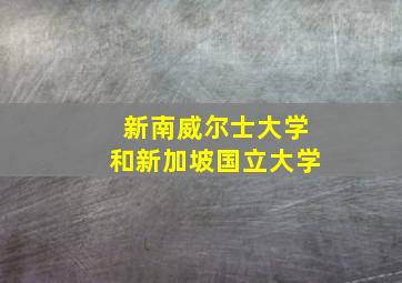 新南威尔士大学和新加坡国立大学