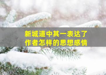 新城道中其一表达了作者怎样的思想感情