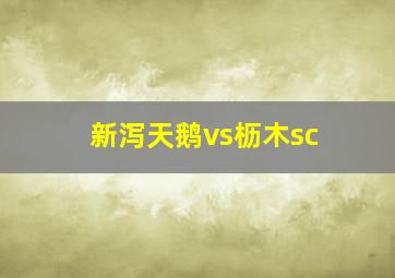 新泻天鹅vs枥木sc