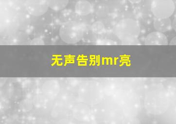 无声告别mr亮