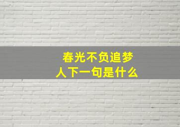 春光不负追梦人下一句是什么