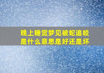 晚上睡觉梦见被蛇追咬是什么意思是好还是坏