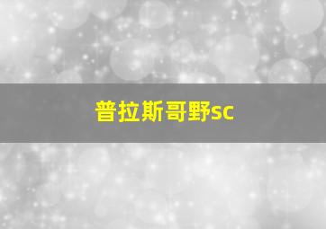 普拉斯哥野sc