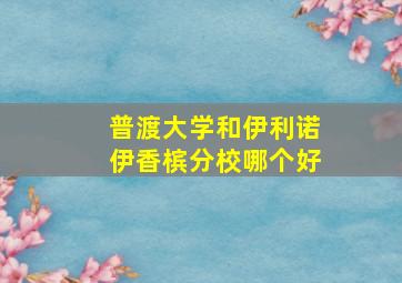 普渡大学和伊利诺伊香槟分校哪个好