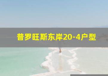 普罗旺斯东岸20-4户型