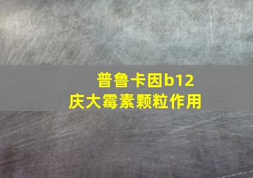 普鲁卡因b12庆大霉素颗粒作用