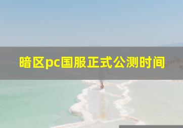 暗区pc国服正式公测时间