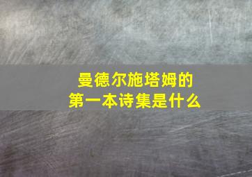 曼德尔施塔姆的第一本诗集是什么