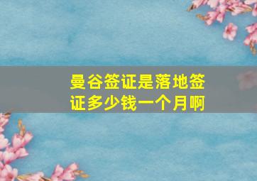 曼谷签证是落地签证多少钱一个月啊