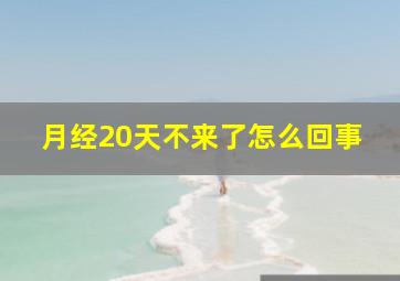 月经20天不来了怎么回事