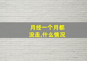 月经一个月都没走,什么情况