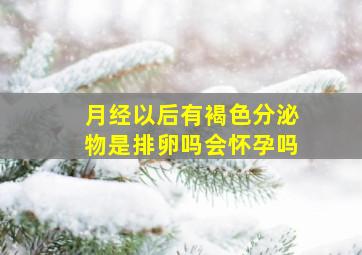 月经以后有褐色分泌物是排卵吗会怀孕吗