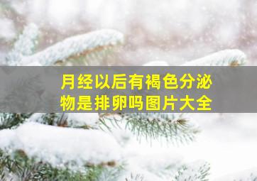 月经以后有褐色分泌物是排卵吗图片大全