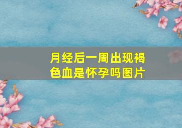 月经后一周出现褐色血是怀孕吗图片