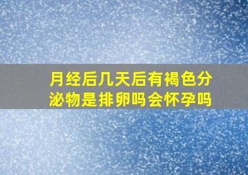 月经后几天后有褐色分泌物是排卵吗会怀孕吗