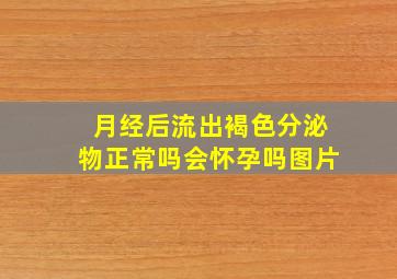 月经后流出褐色分泌物正常吗会怀孕吗图片