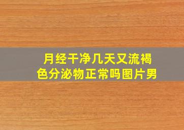 月经干净几天又流褐色分泌物正常吗图片男