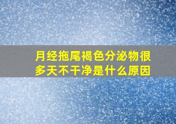 月经拖尾褐色分泌物很多天不干净是什么原因