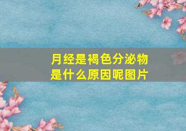 月经是褐色分泌物是什么原因呢图片