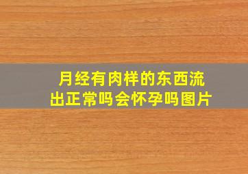 月经有肉样的东西流出正常吗会怀孕吗图片