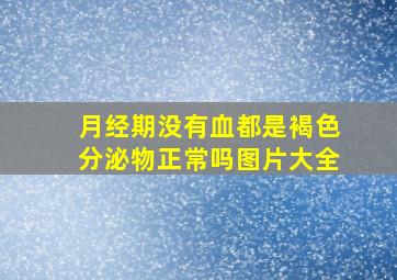 月经期没有血都是褐色分泌物正常吗图片大全