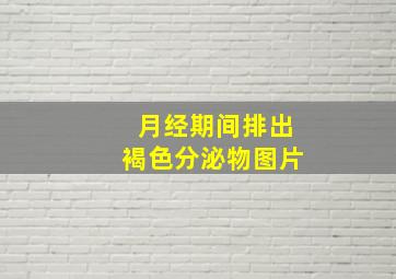 月经期间排出褐色分泌物图片