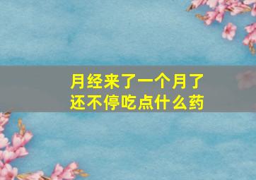 月经来了一个月了还不停吃点什么药