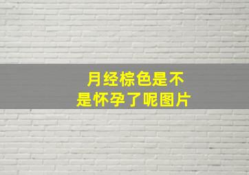 月经棕色是不是怀孕了呢图片