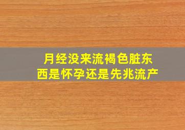 月经没来流褐色脏东西是怀孕还是先兆流产